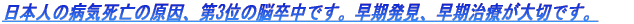 {l̕aCŠA3ʂ̔]łBAÂ؂łB